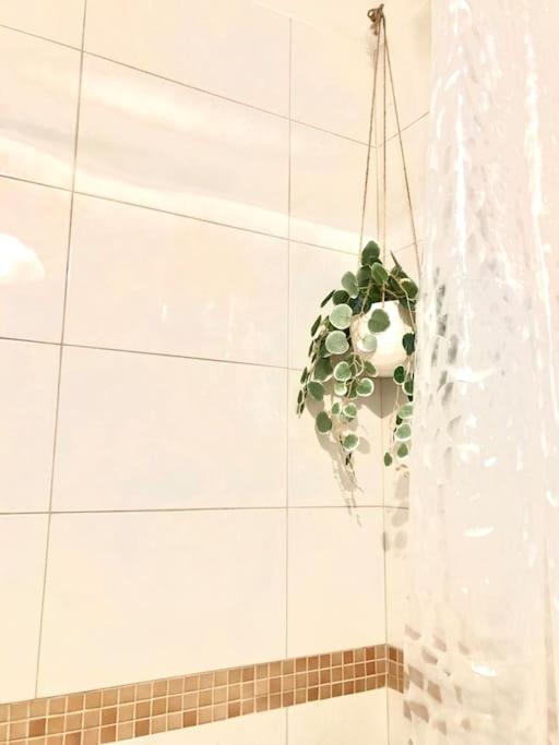 Miejskie Mieszkanie Apartment วอร์ซอ ภายนอก รูปภาพ